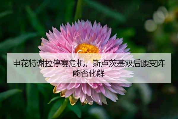 shen-hua-te-xie-la-ting-sai-wei-ji-si-lu-ci-ji-shuang-hou-yao-bian-zhen-neng-fou-hua-jie-2-673.jpg